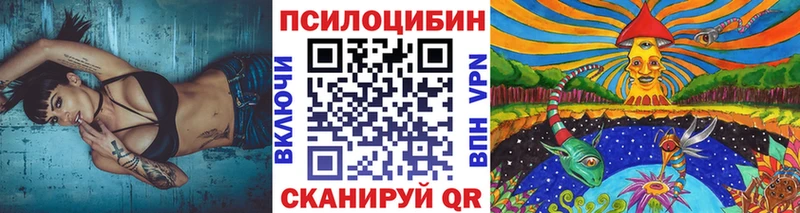 Галлюциногенные грибы Psilocybe blacksprut ссылка Глазов